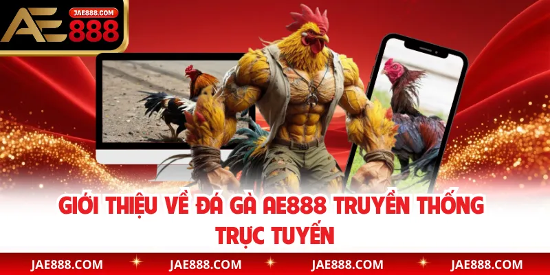Giới thiệu về đá gà AE888 truyền thống trực tuyến